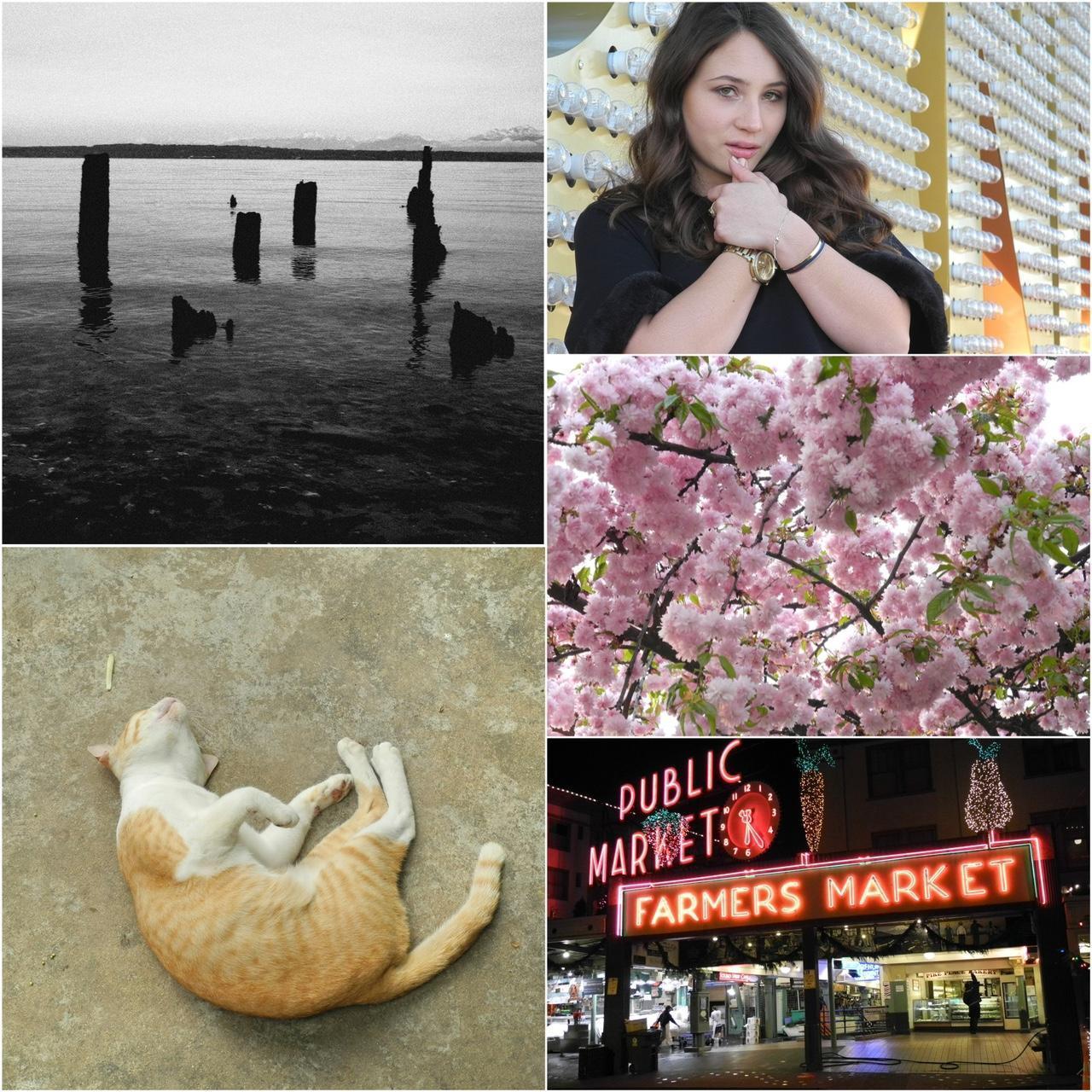 Nikon Coolpix P7000 Digital Camera Bundle ✧˚ . 🐈⬛...